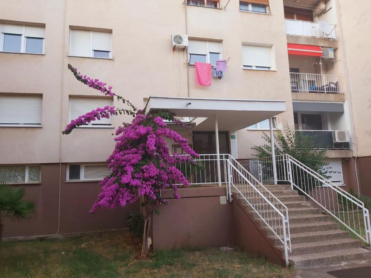 Appartamento Popovic Pola Esterno foto